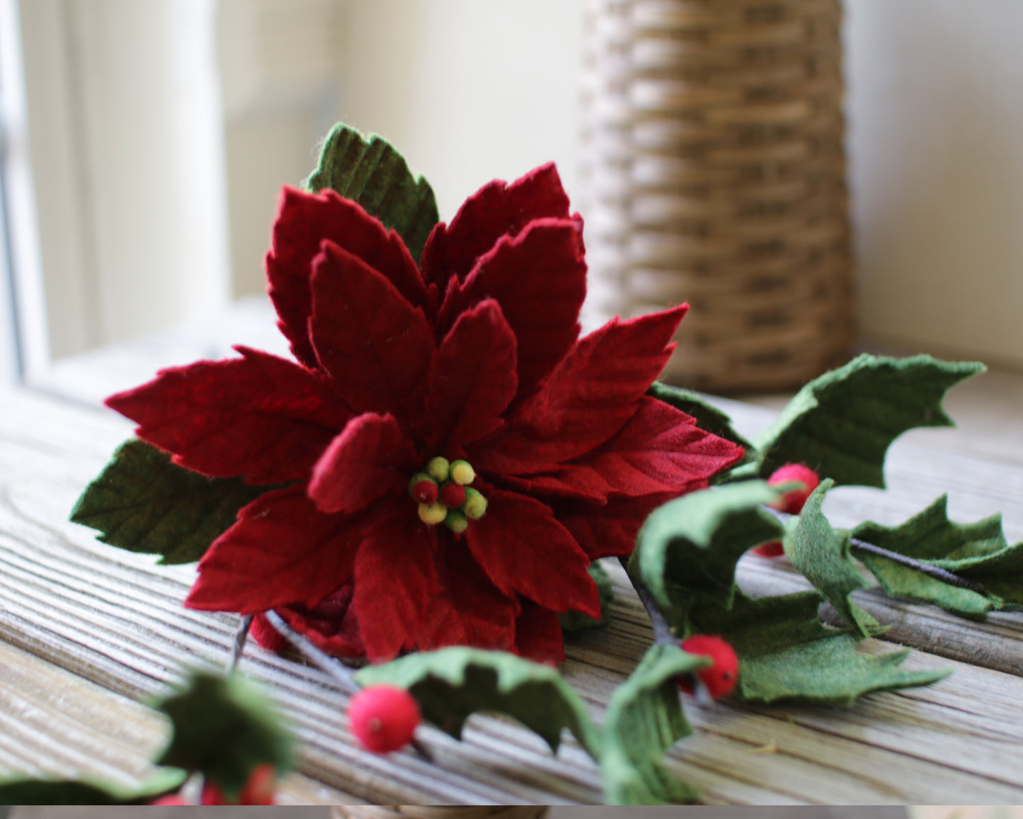 Poinsettia Handcut Digital Only