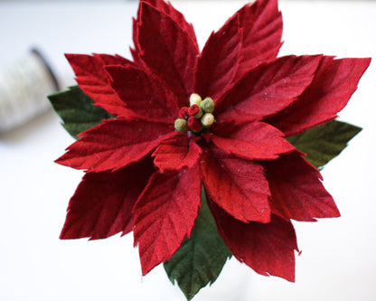 Poinsettia Handcut Digital Only